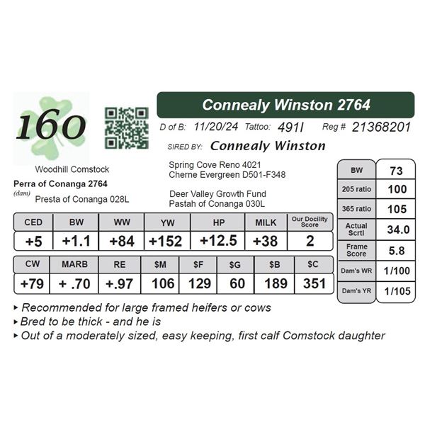 Connealy Winston 2764