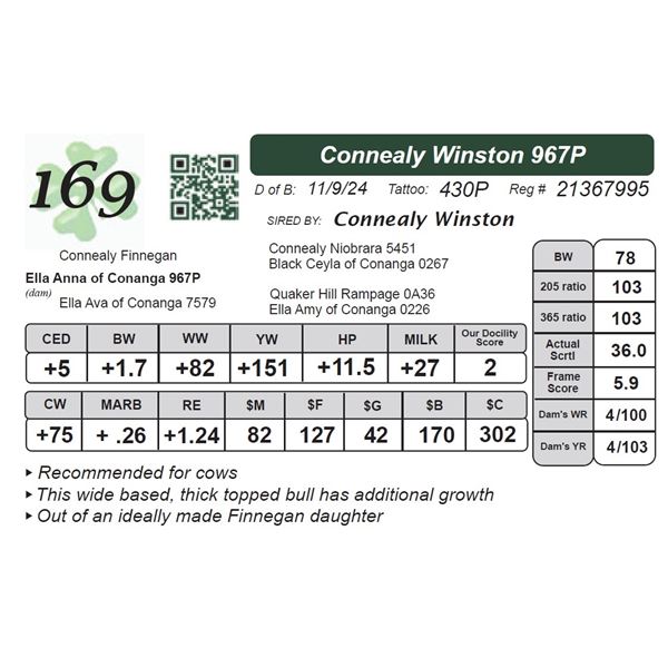 Connealy Winston 967P