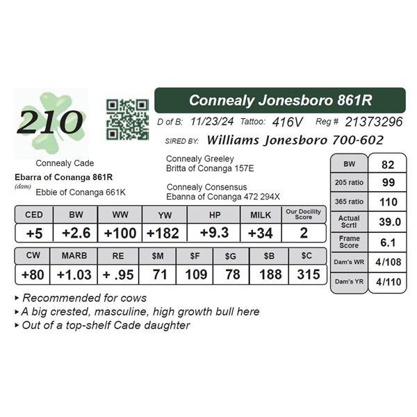 Connealy Jonesboro 861R