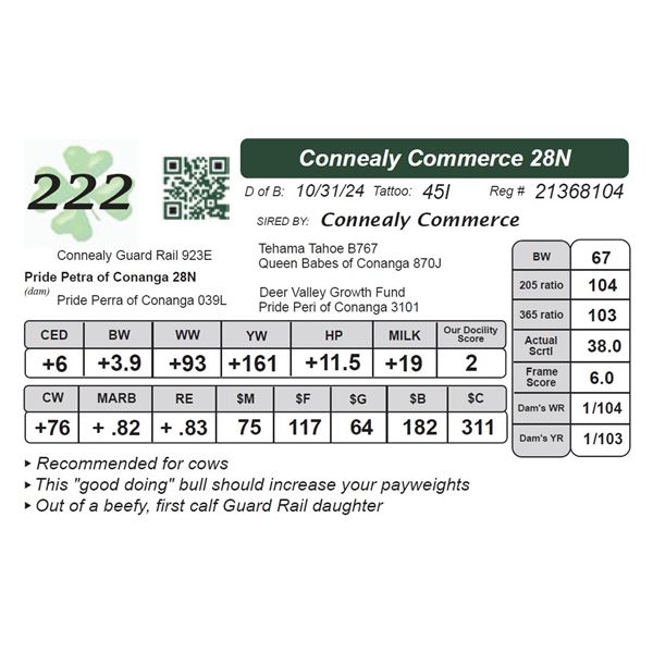 Connealy Commerce 28N