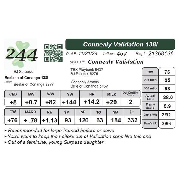 Connealy Validation 138I