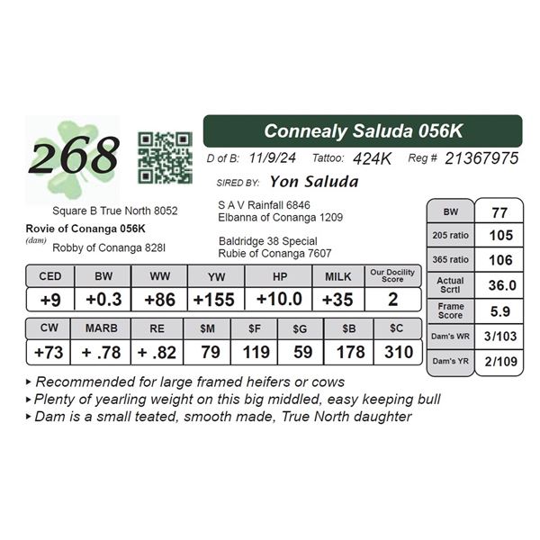 Connealy Saluda 056K