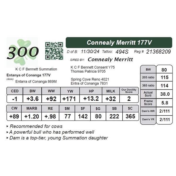 Connealy Merritt 177V