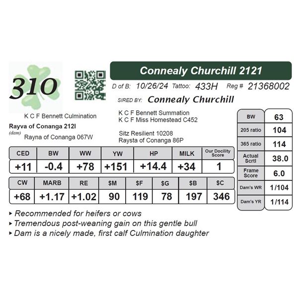 Connealy Churchill 2121