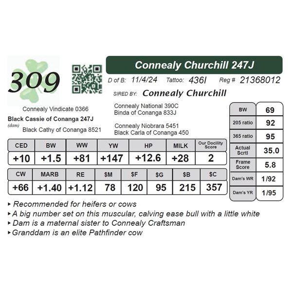 Connealy Churchill 247J