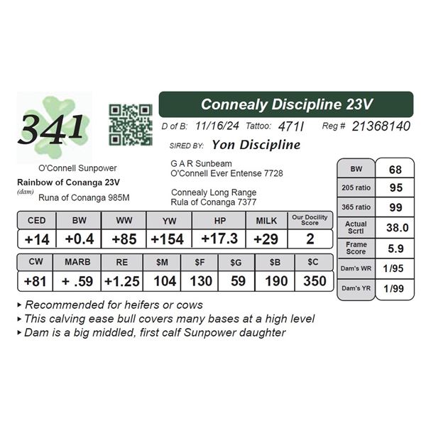 Connealy Discipline 23V