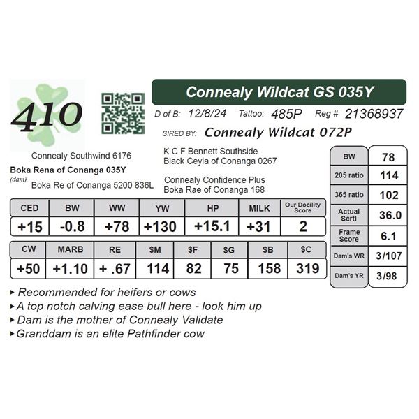 Connealy Wildcat GS 035Y