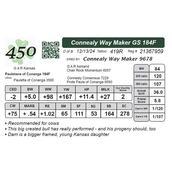 Connealy Way Maker GS 184F
