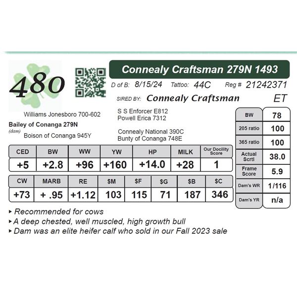 Connealy Craftsman 279N 1493