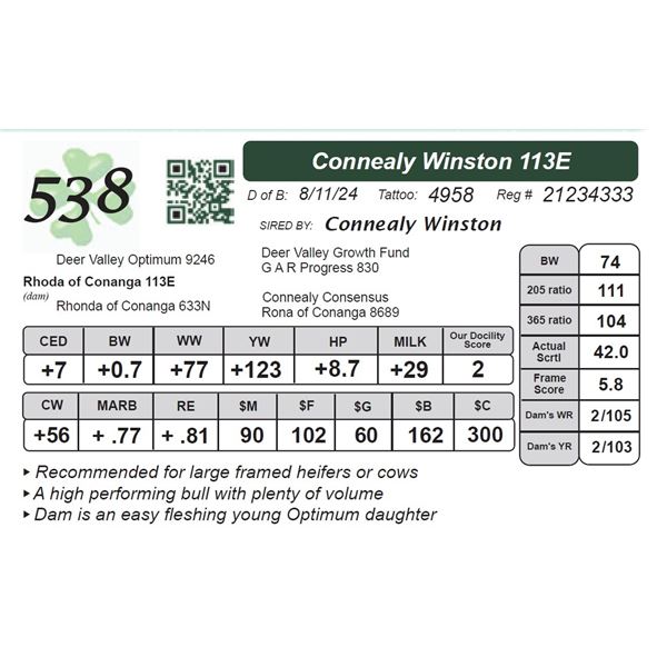 Connealy Winston 113E