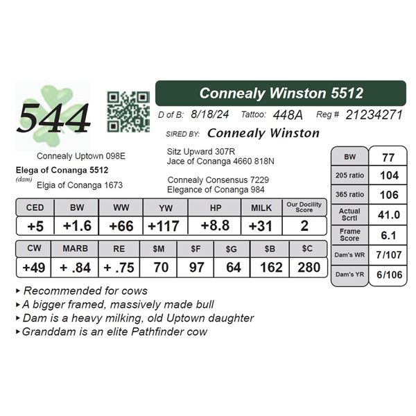 Connealy Winston 5512