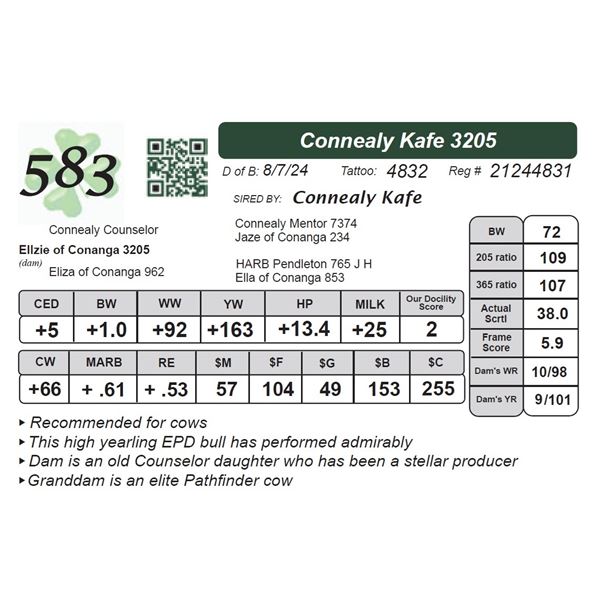 Connealy Kafe 3205