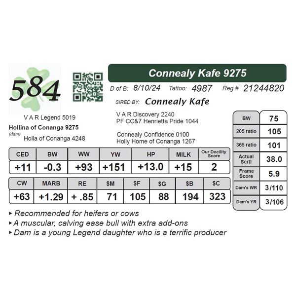 Connealy Kafe 9275