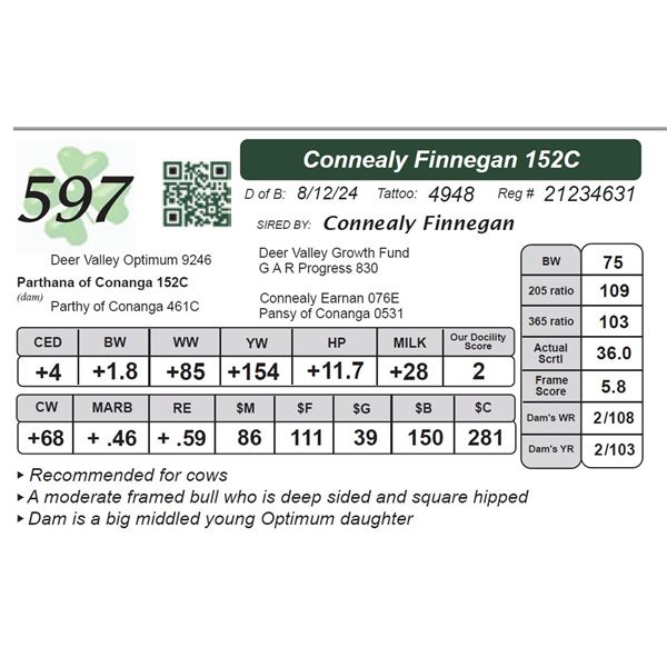 Connealy Finnegan 152C