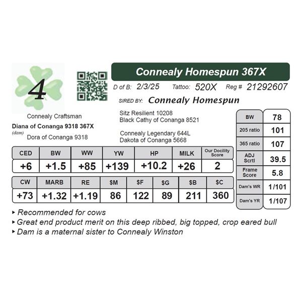 Connealy Homespun 367X