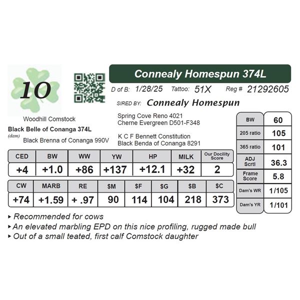 Connealy Homespun 374L