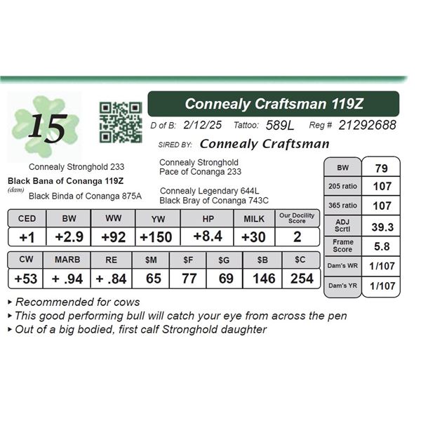 Connealy Craftsman 119Z