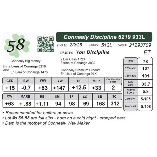 Connealy Discipline 6219933L
