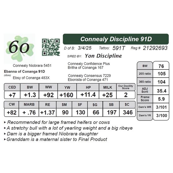 Connealy Discipline 91D