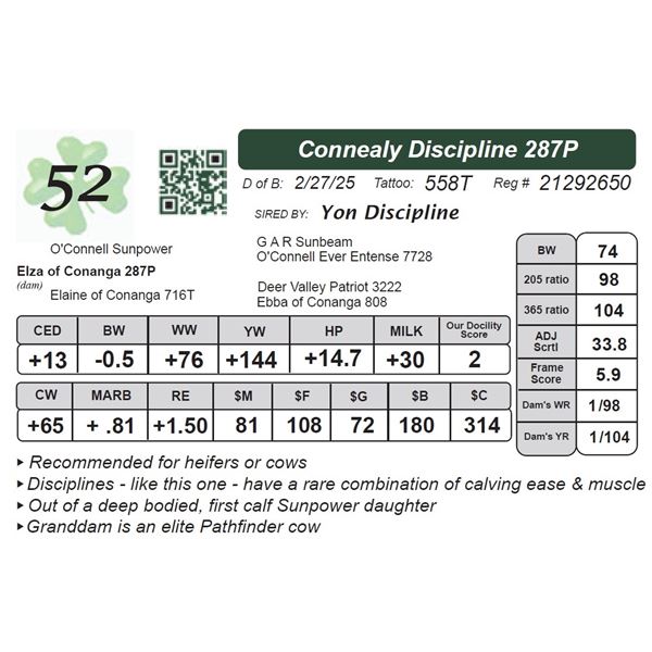 Connealy Discipline 287P