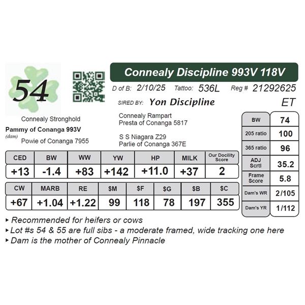 Connealy Discipline 993V118V