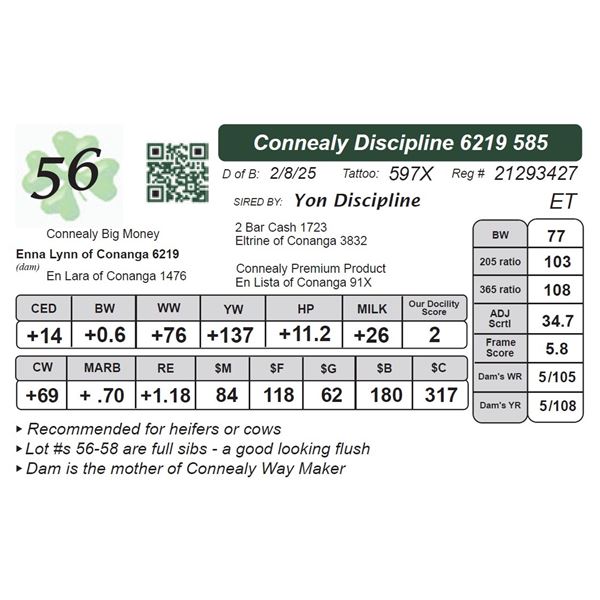 Connealy Discipline 6219 585