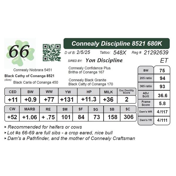 Connealy Discipline 8521680K