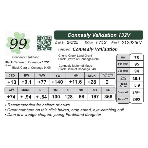 Connealy Validation 132V