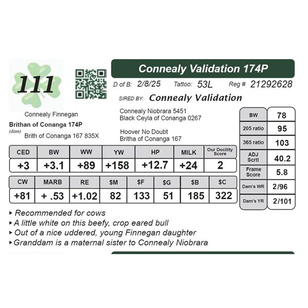 Connealy Validation 174P