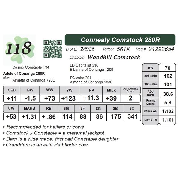 Connealy Comstock 280R