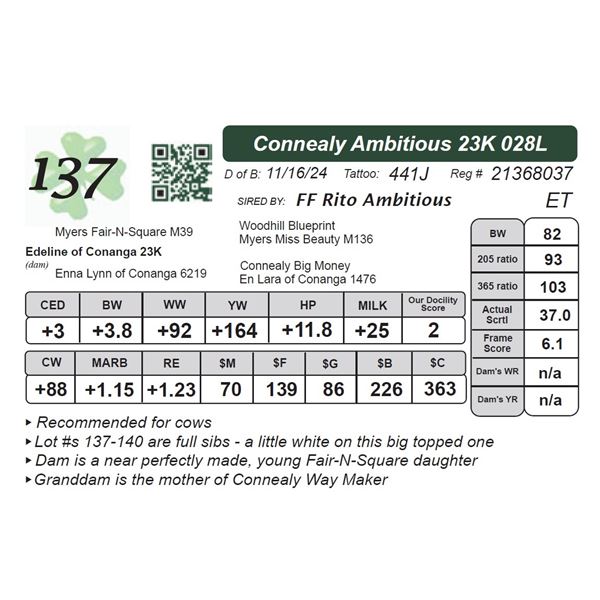 Connealy Ambitious 23K 028L