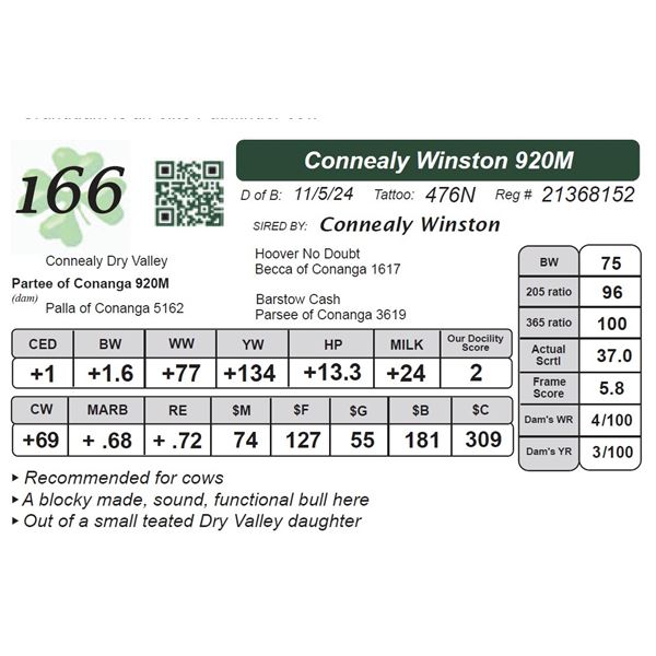Connealy Winston 920M