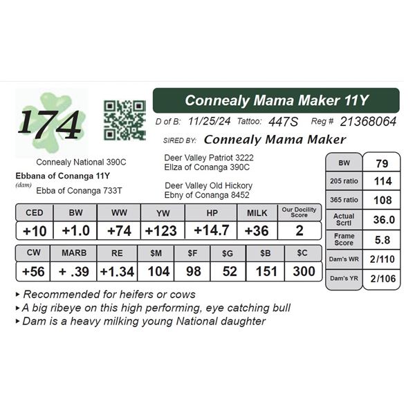 Connealy Mama Maker 11Y