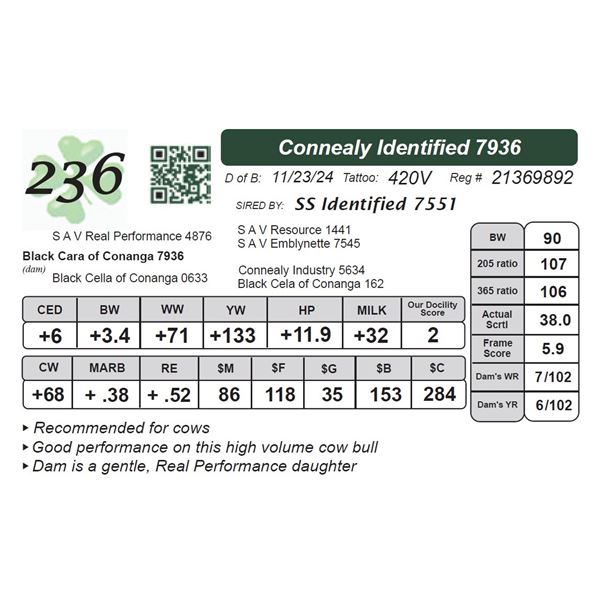 Connealy Identified 7936