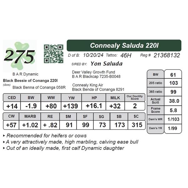 Connealy Saluda 220I