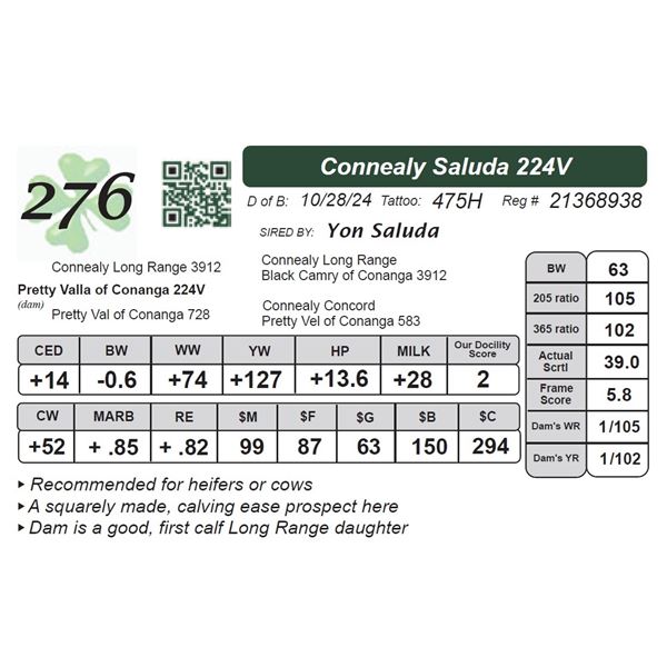 Connealy Saluda 224V