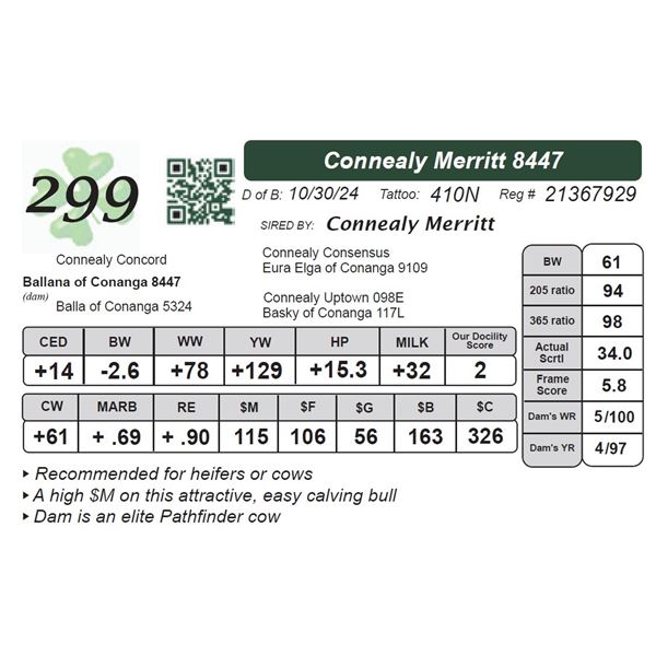 Connealy Merritt 8447