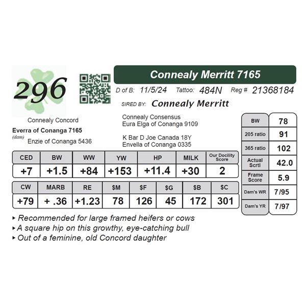 Connealy Merritt 7165