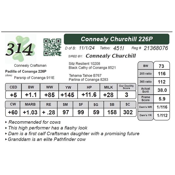 Connealy Churchill 226P