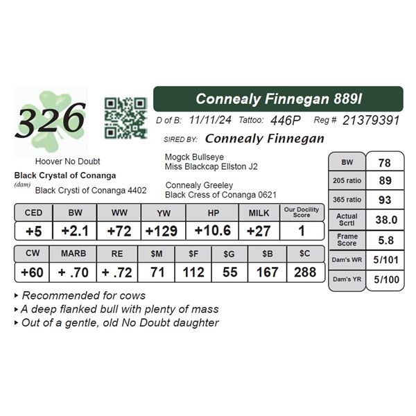 Connealy Finnegan 889I