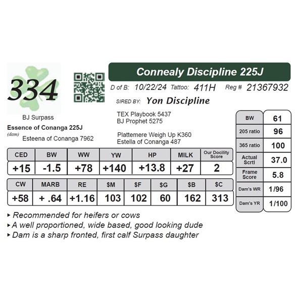 Connealy Discipline 225J