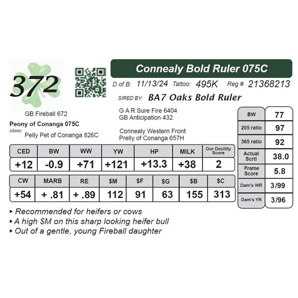 Connealy Bold Ruler 075C