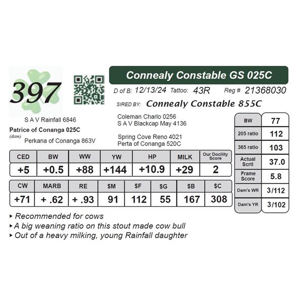 Connealy Constable GS 025C
