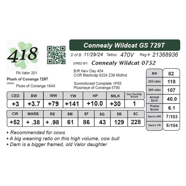 Connealy Wildcat GS 729T