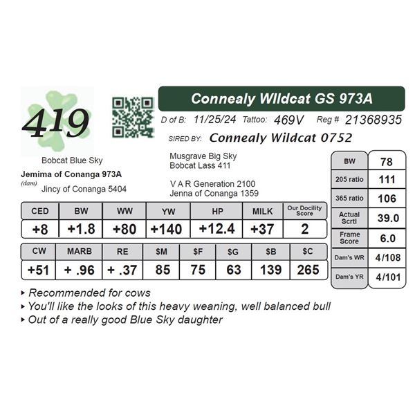 Connealy WIldcat GS 973A