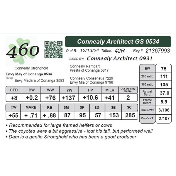 Connealy Architect GS 0534