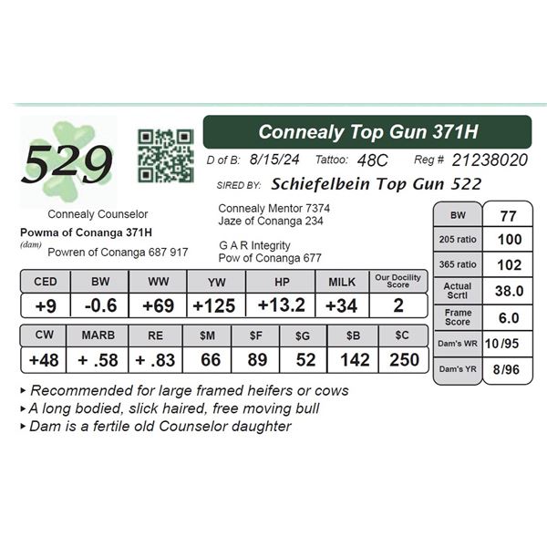 Connealy Top Gun 371H