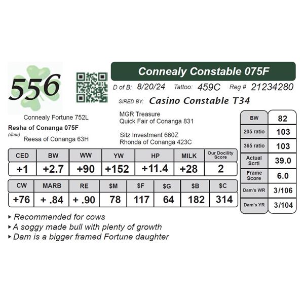 Connealy Constable 075F