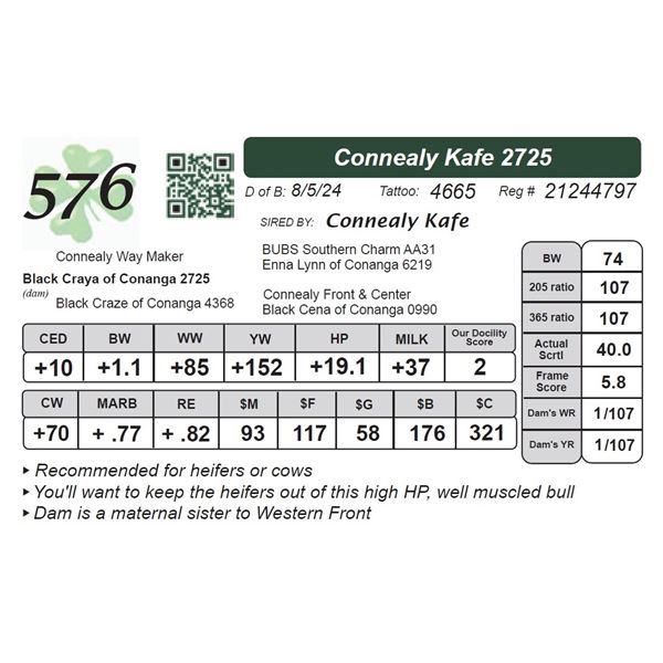 Connealy Kafe 2725