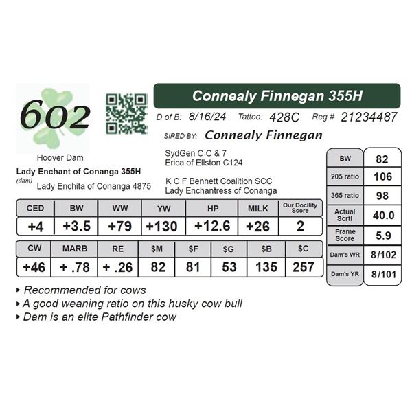 Connealy Finnegan 355H